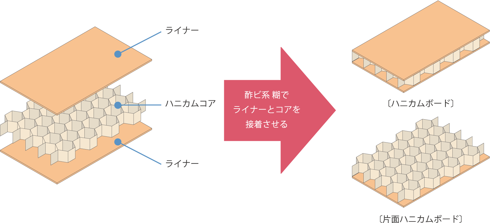 ペーパーハニカムはハニカムコアをライナーで挟み、酢ビ系ノリで接着させています。